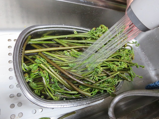 ファイル 67-2.jpg