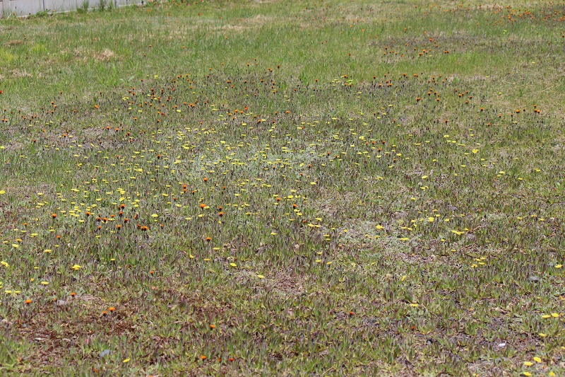 ファイル 68-2.jpg