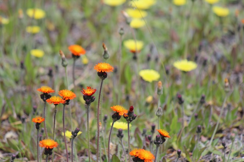 ファイル 68-3.jpg