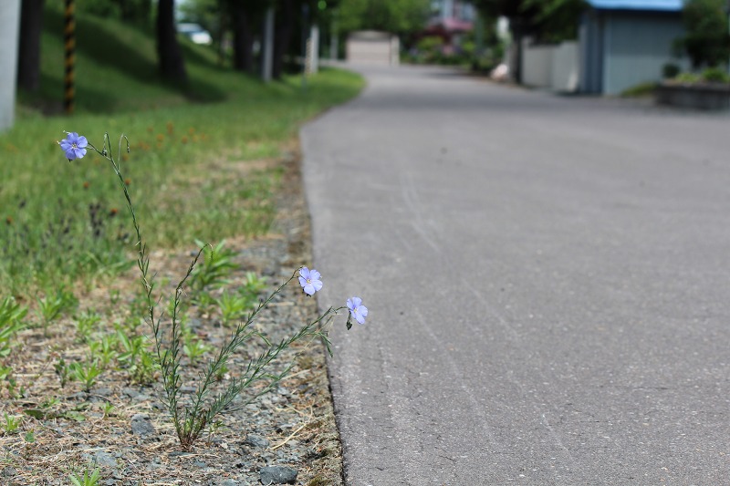 ファイル 68-5.jpg