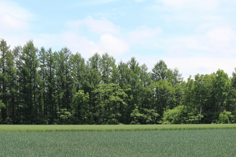 ファイル 68-6.jpg