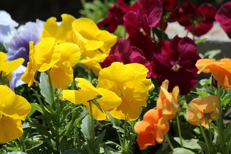 ファイル 68-7.jpg