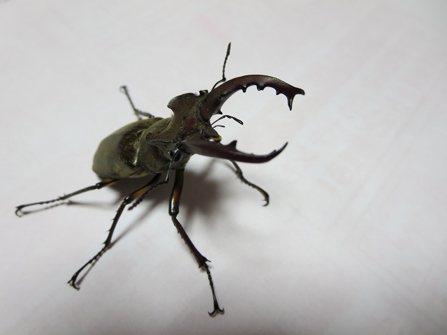 ファイル 69-2.jpg