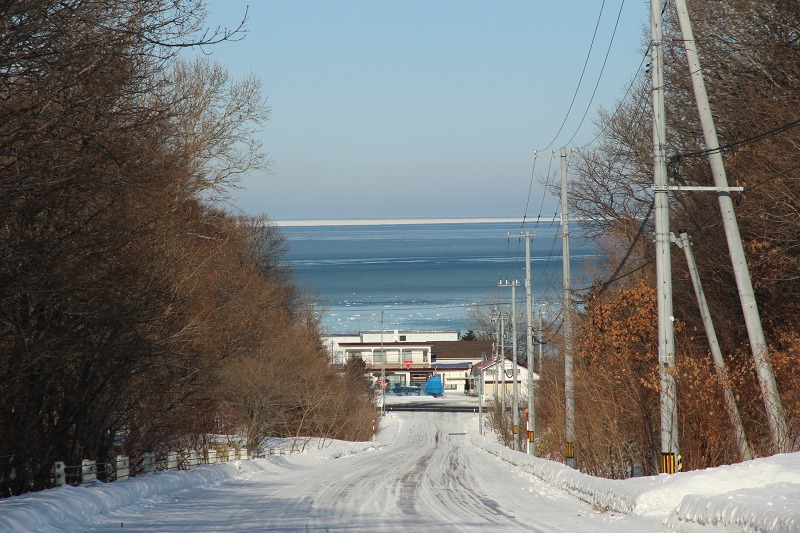 ファイル 7-1.jpg