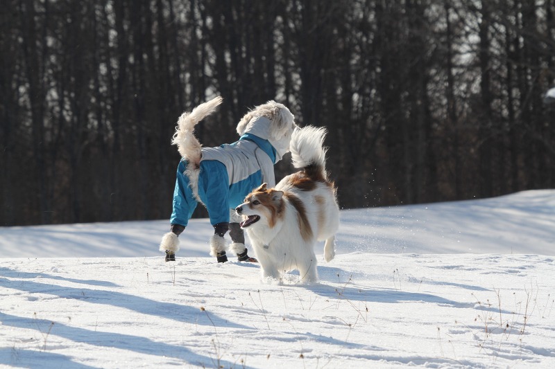 ファイル 7-2.jpg