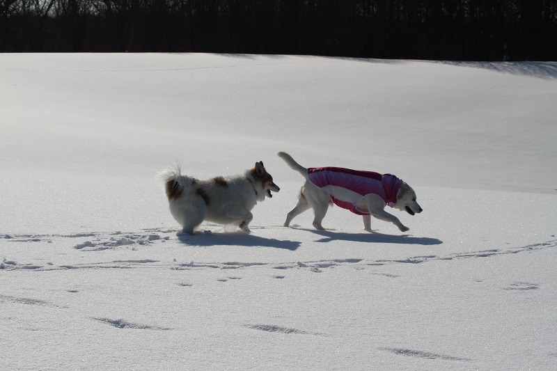 ファイル 7-5.jpg