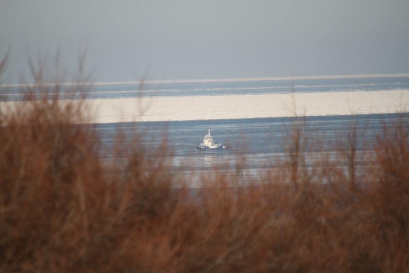 ファイル 7-6.jpg