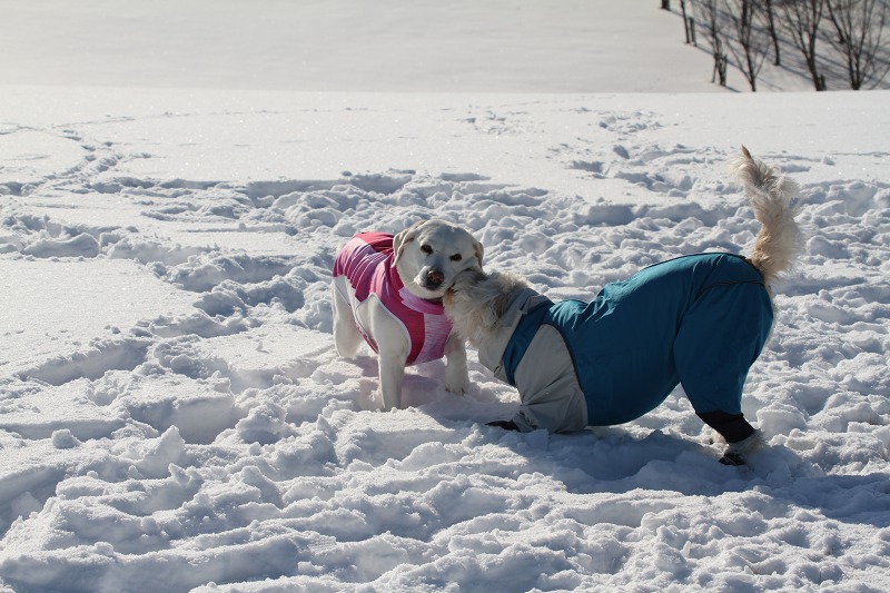 ファイル 7-8.jpg