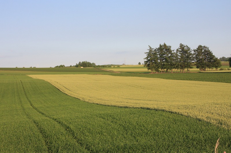 ファイル 70-2.jpg