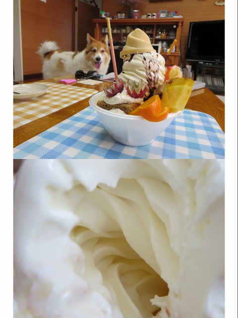 ファイル 70-3.jpg