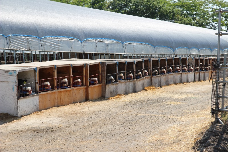 ファイル 71-1.jpg