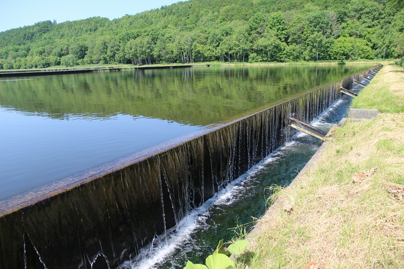 ファイル 71-4.jpg