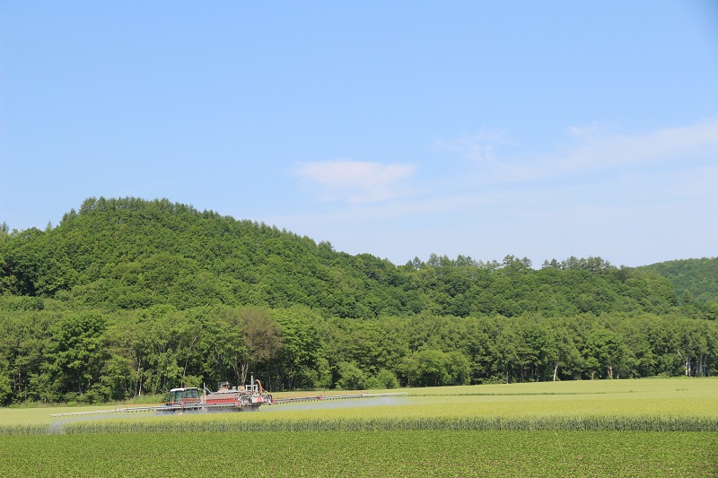 ファイル 71-6.jpg