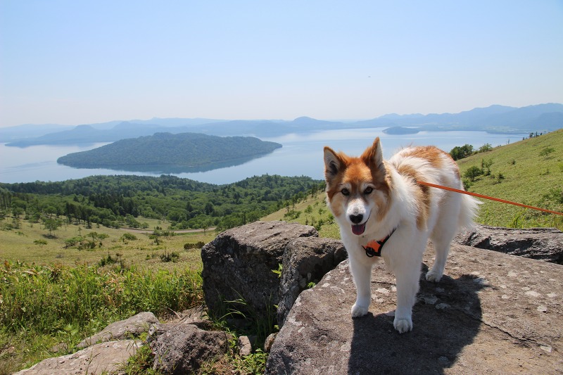 ファイル 71-7.jpg