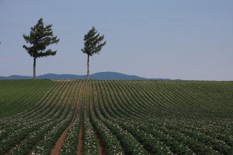 ファイル 73-1.jpg