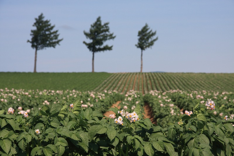 ファイル 73-2.jpg