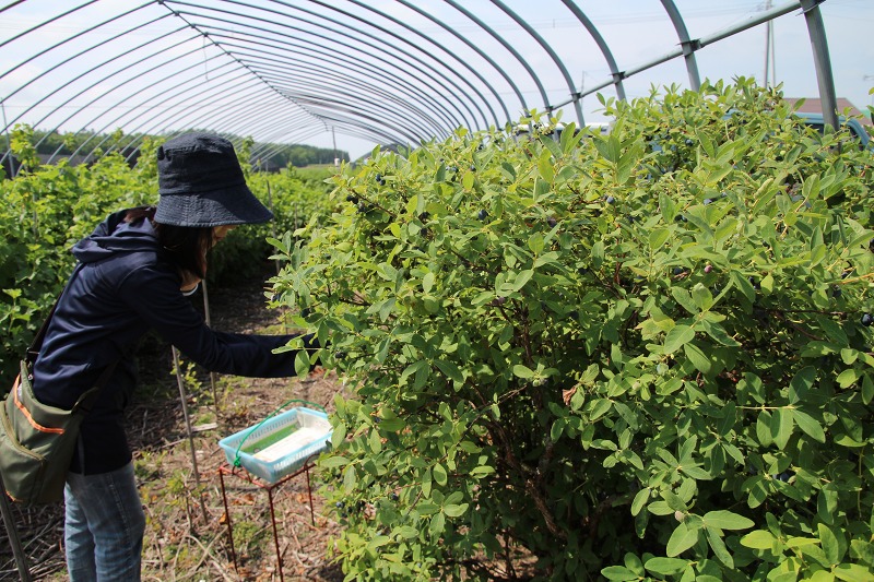 ファイル 75-3.jpg