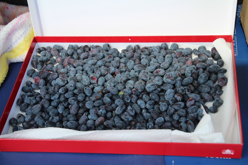 ファイル 75-4.jpg