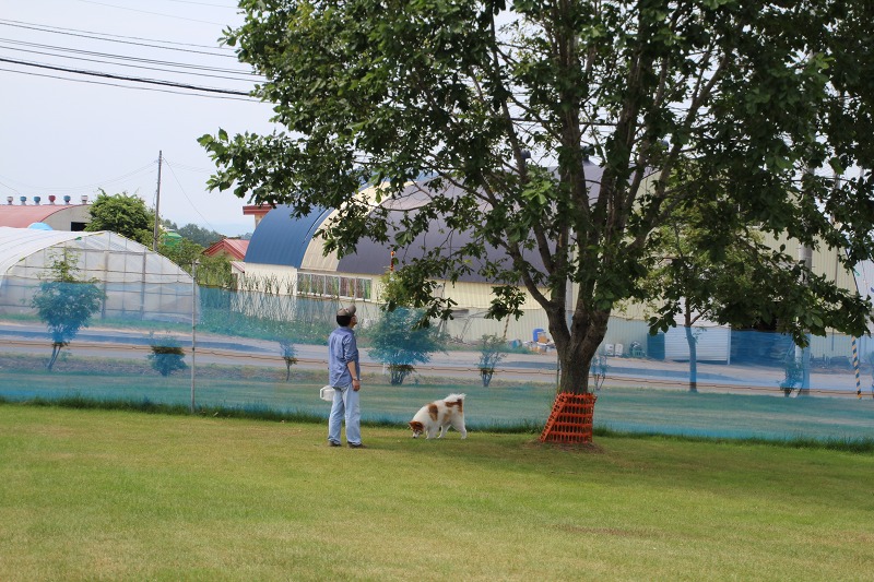 ファイル 75-5.jpg