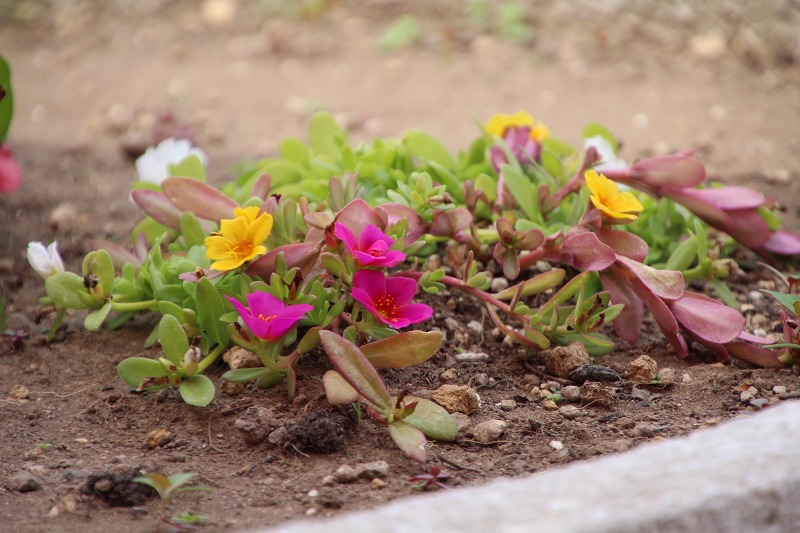 ファイル 75-6.jpg