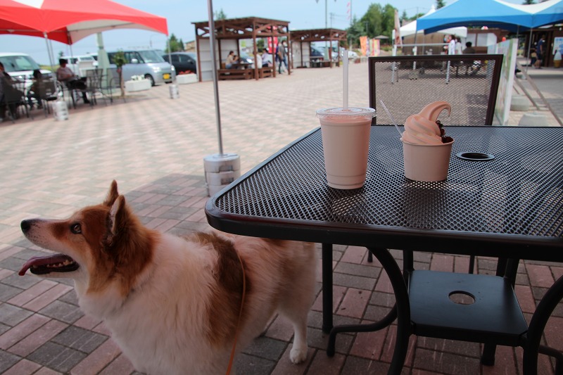 ファイル 75-7.jpg