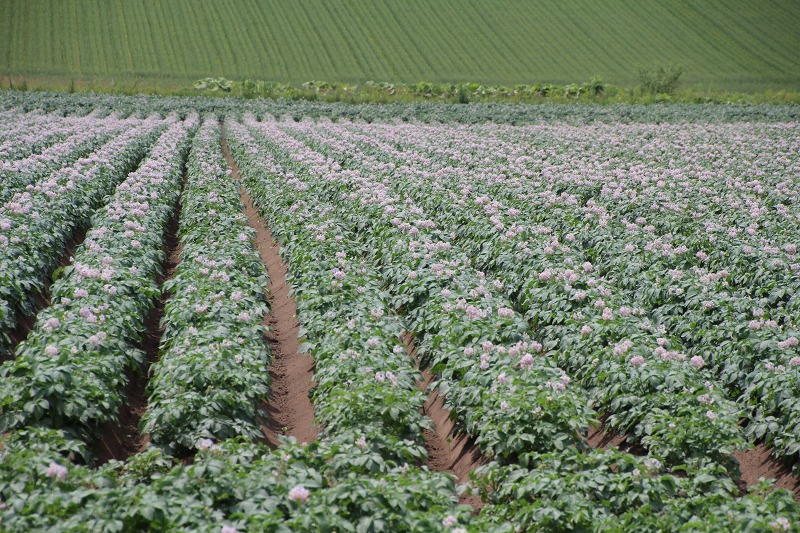 ファイル 75-8.jpg