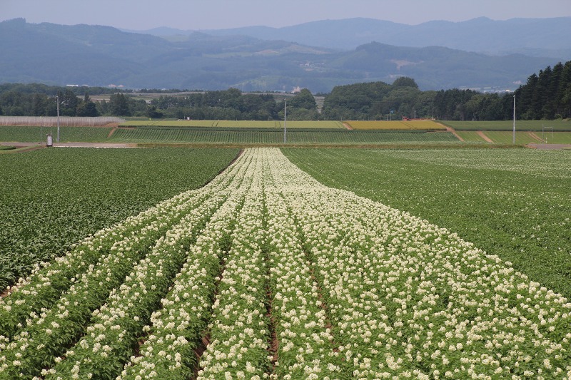 ファイル 75-9.jpg