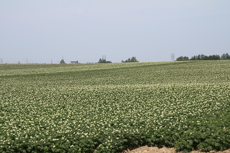 ファイル 76-3.jpg