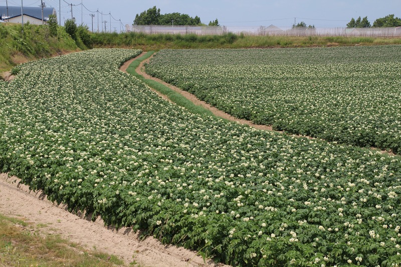 ファイル 76-4.jpg