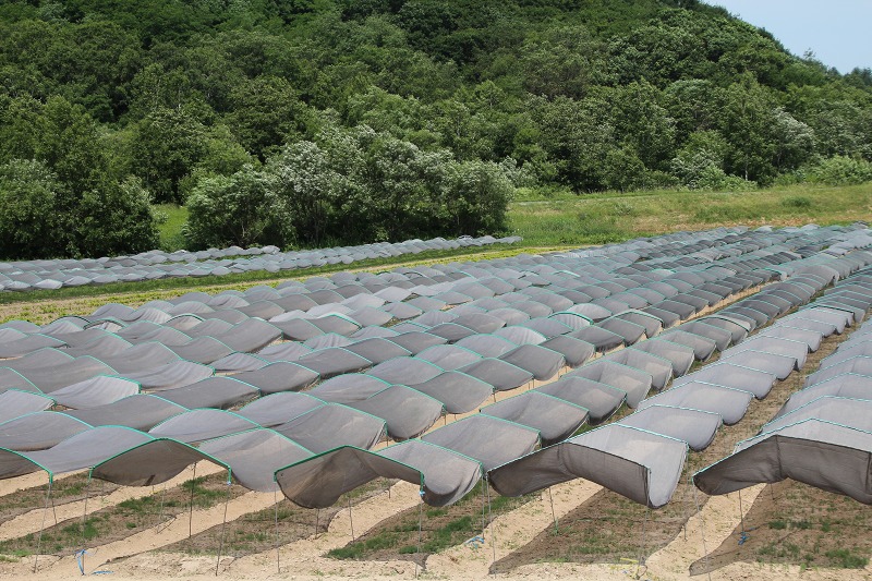 ファイル 76-5.jpg