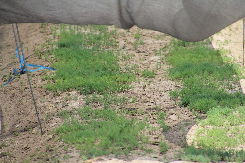 ファイル 76-7.jpg