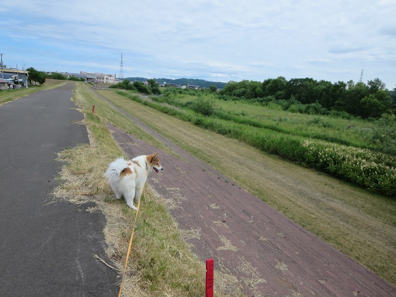 ファイル 77-1.jpg