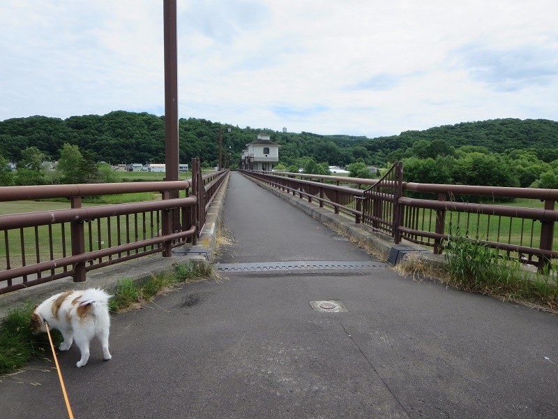 ファイル 77-3.jpg