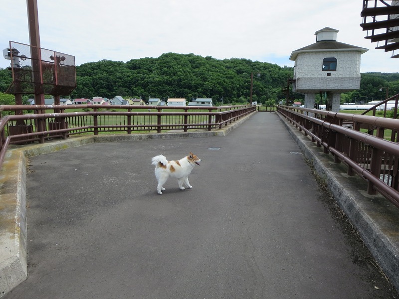 ファイル 77-7.jpg