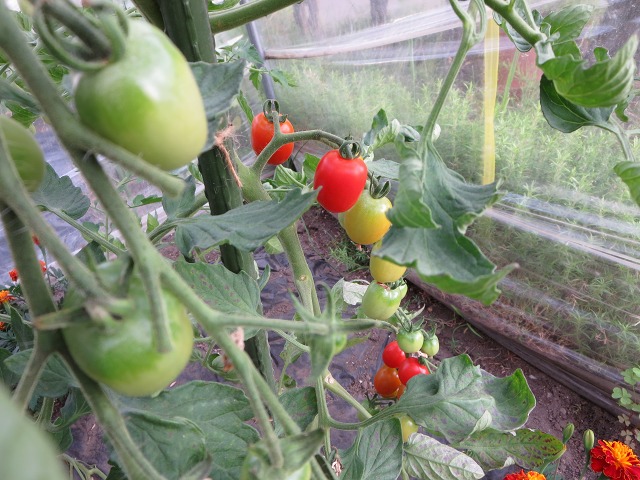 ファイル 78-3.jpg