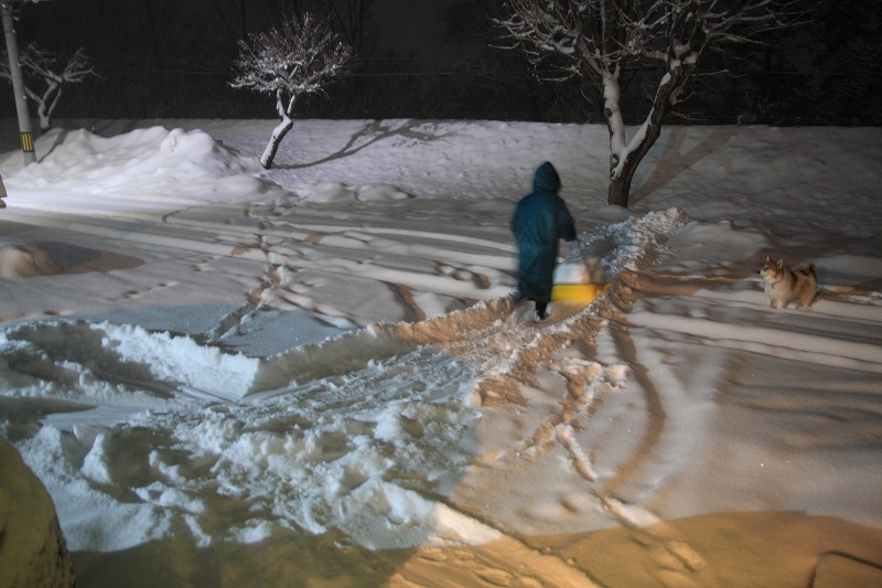 ファイル 8-4.jpg