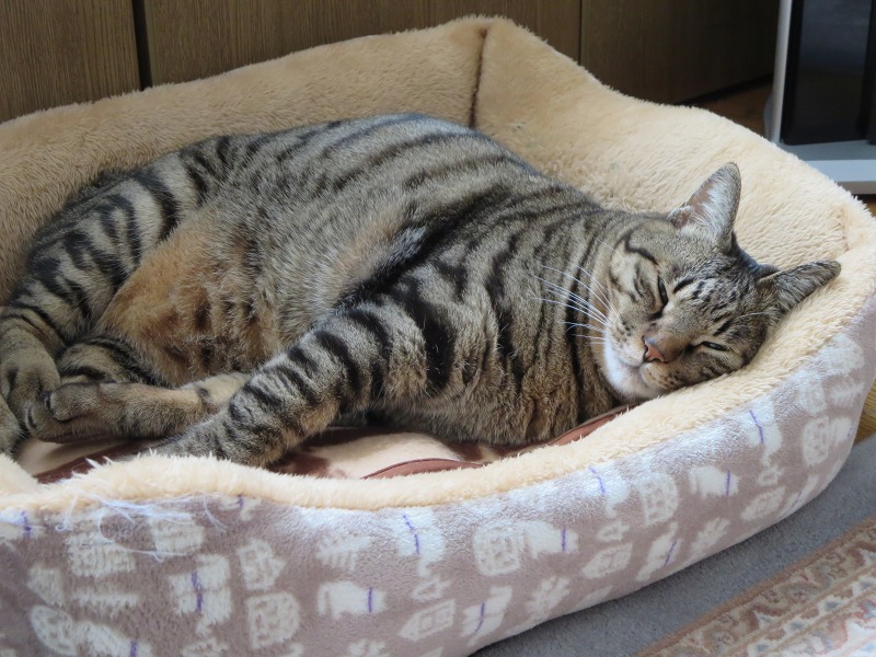 ファイル 8-8.jpg