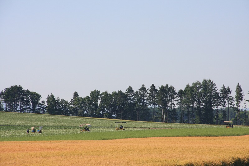 ファイル 80-1.jpg