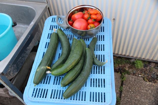 ファイル 83-1.jpg