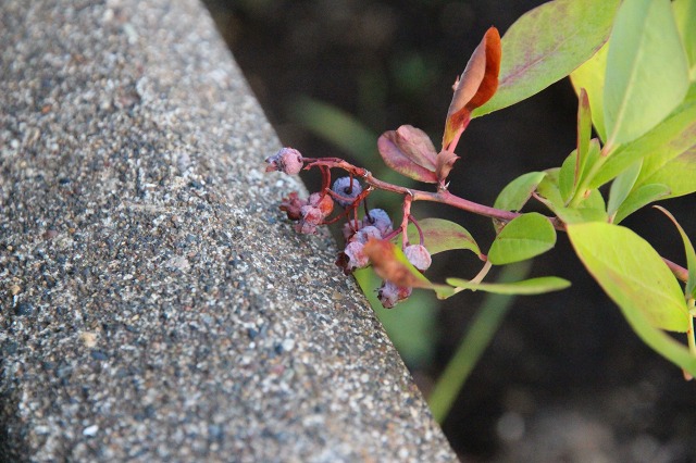 ファイル 83-3.jpg