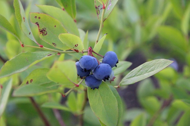 ファイル 83-4.jpg