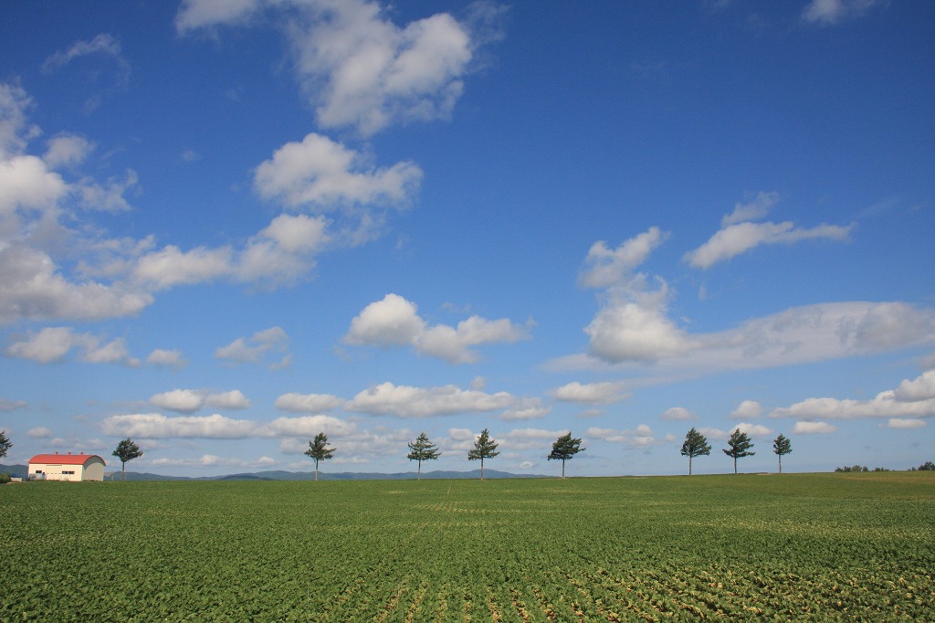 ファイル 85-1.jpg