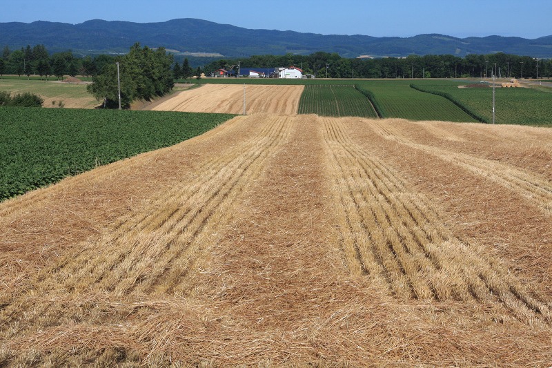 ファイル 85-5.jpg