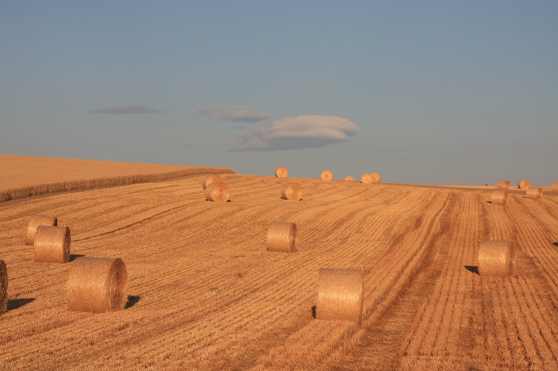 ファイル 85-6.jpg