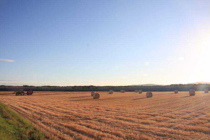 ファイル 85-7.jpg