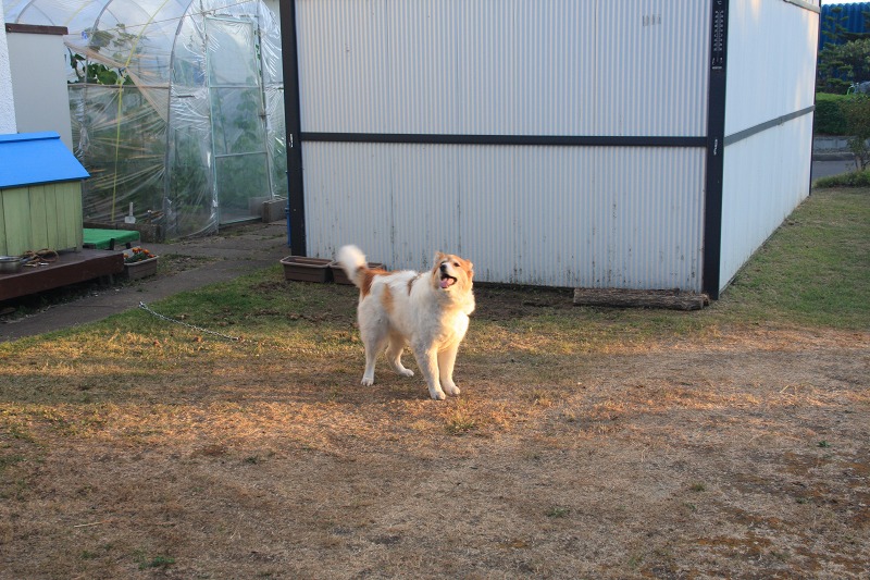 ファイル 85-8.jpg