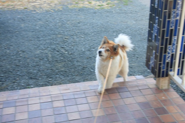 ファイル 85-9.jpg