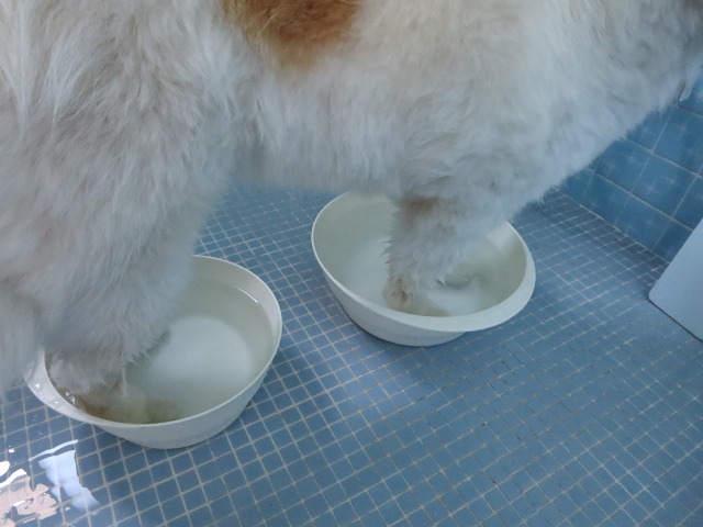 ファイル 88-6.jpg