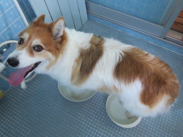 ファイル 88-7.jpg