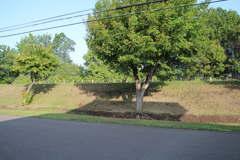 ファイル 91-2.jpg